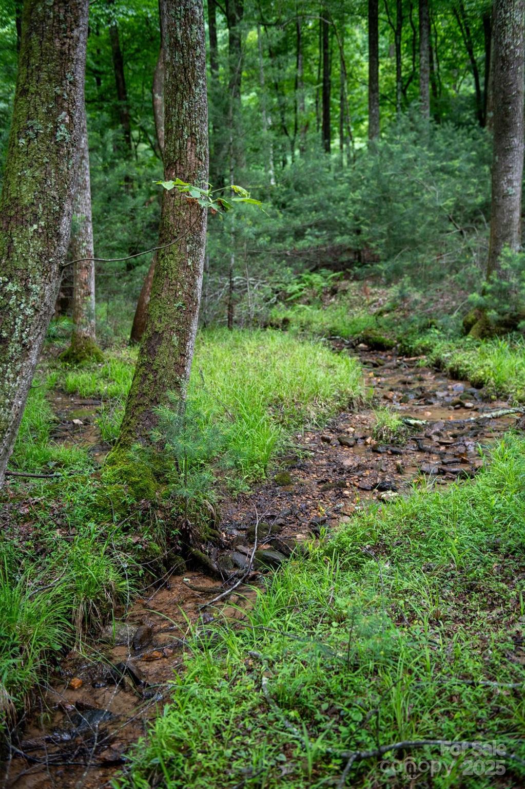 Chestnut Mountain Farms - Land