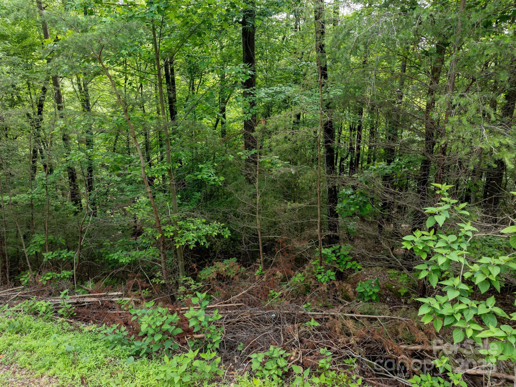 Chestnut Mountain Farms - Land