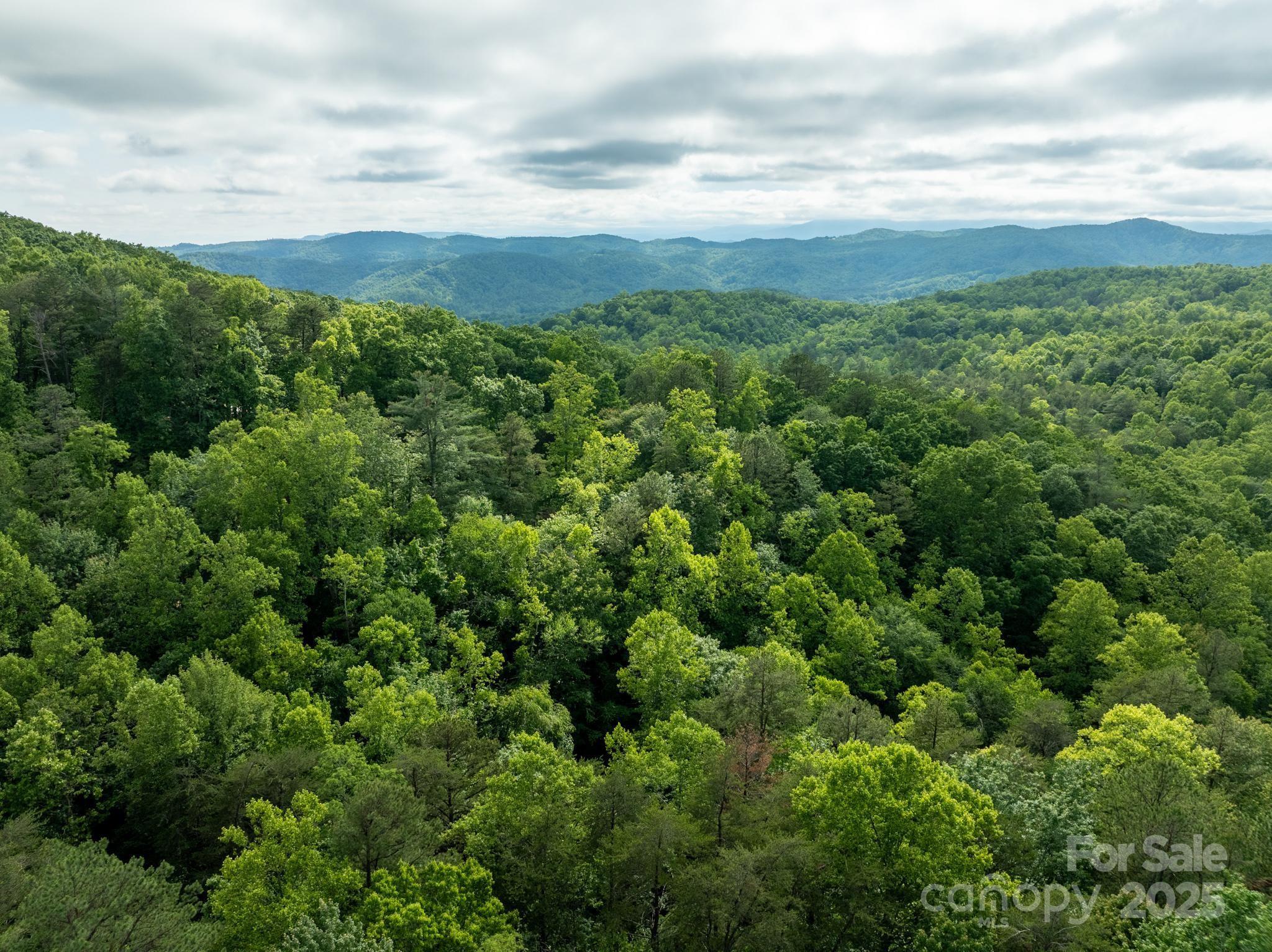 Chestnut Mountain Farms - Land