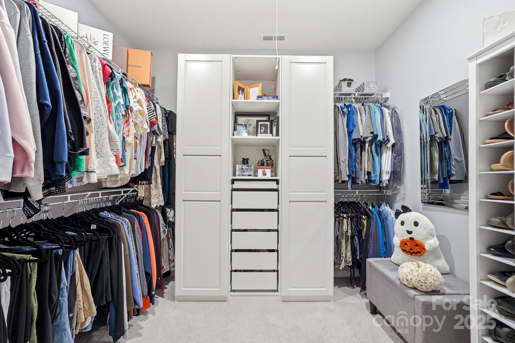 Imagery On Mtn Island - Residential