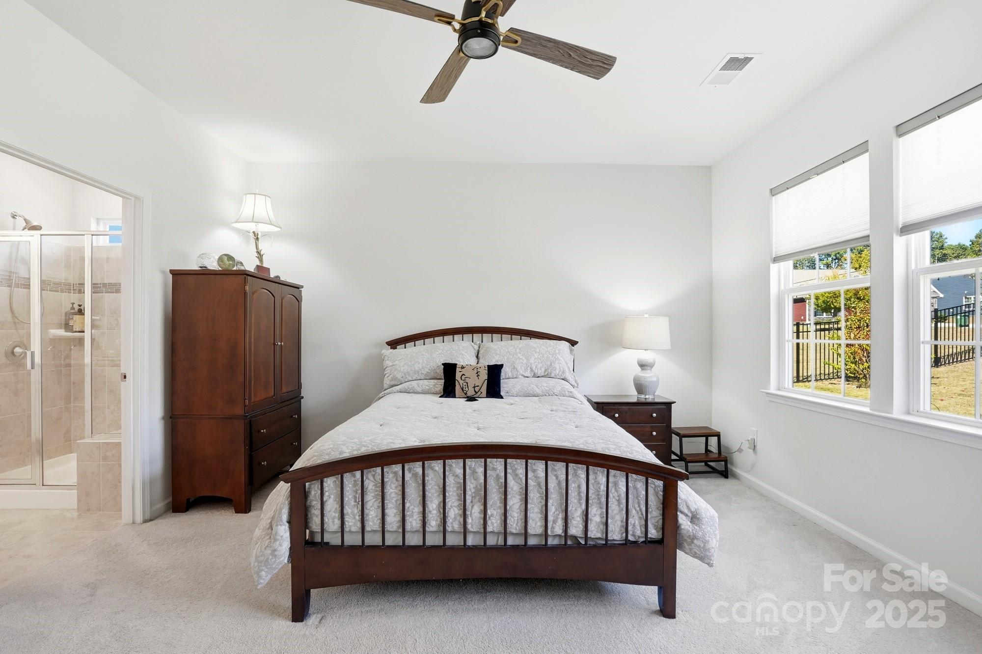 Imagery On Mtn Island - Residential