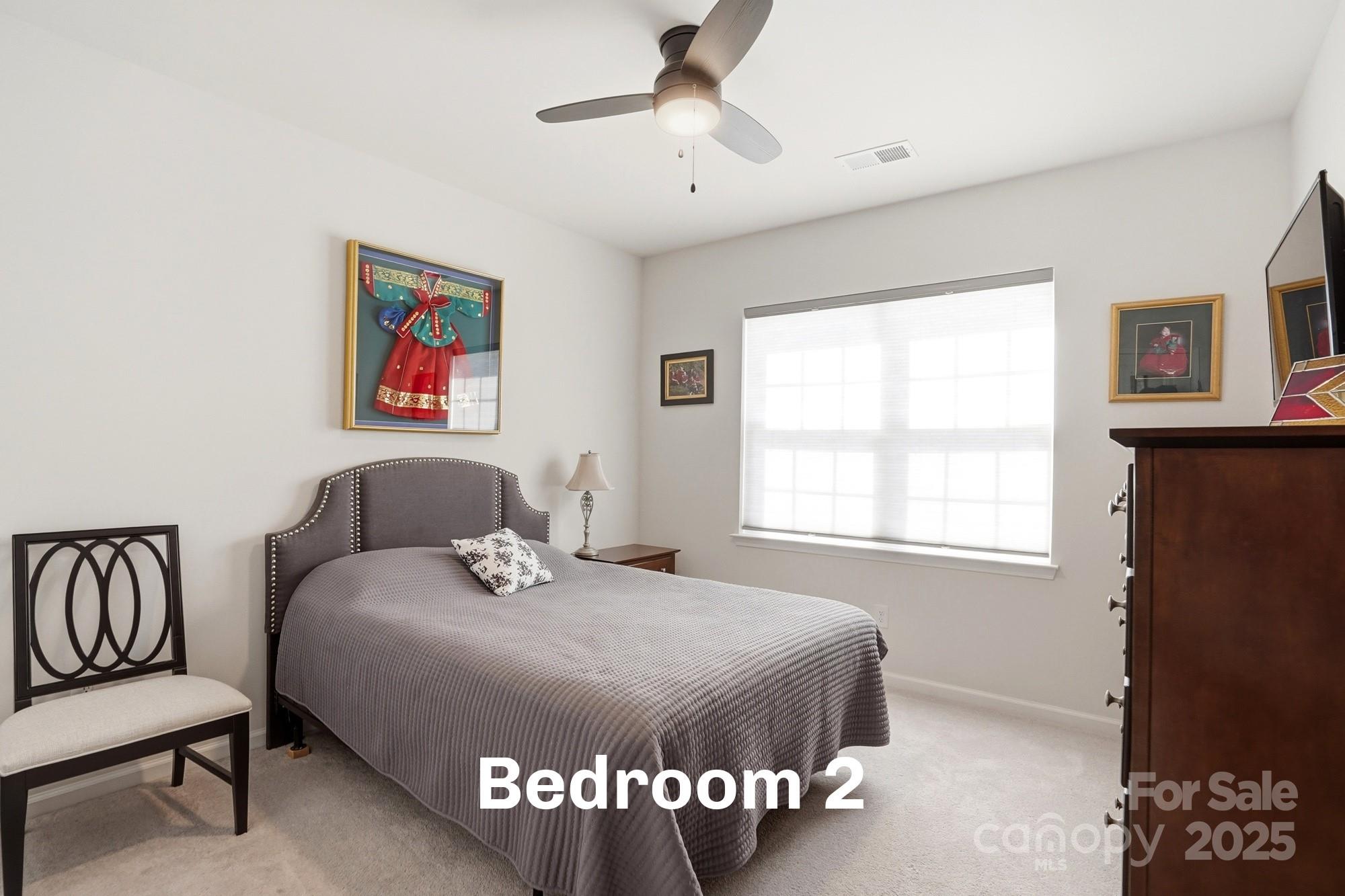 Imagery On Mtn Island - Residential