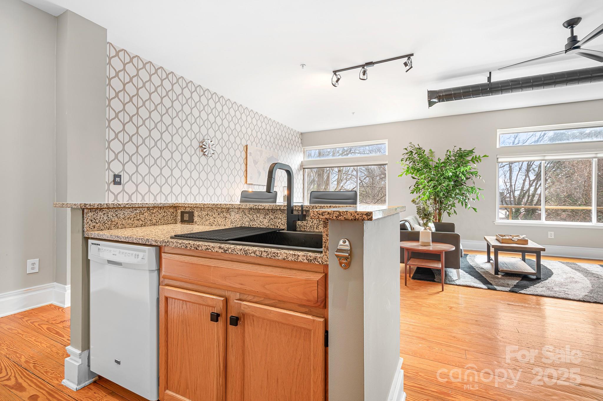 Elizabeth Lofts - Residential