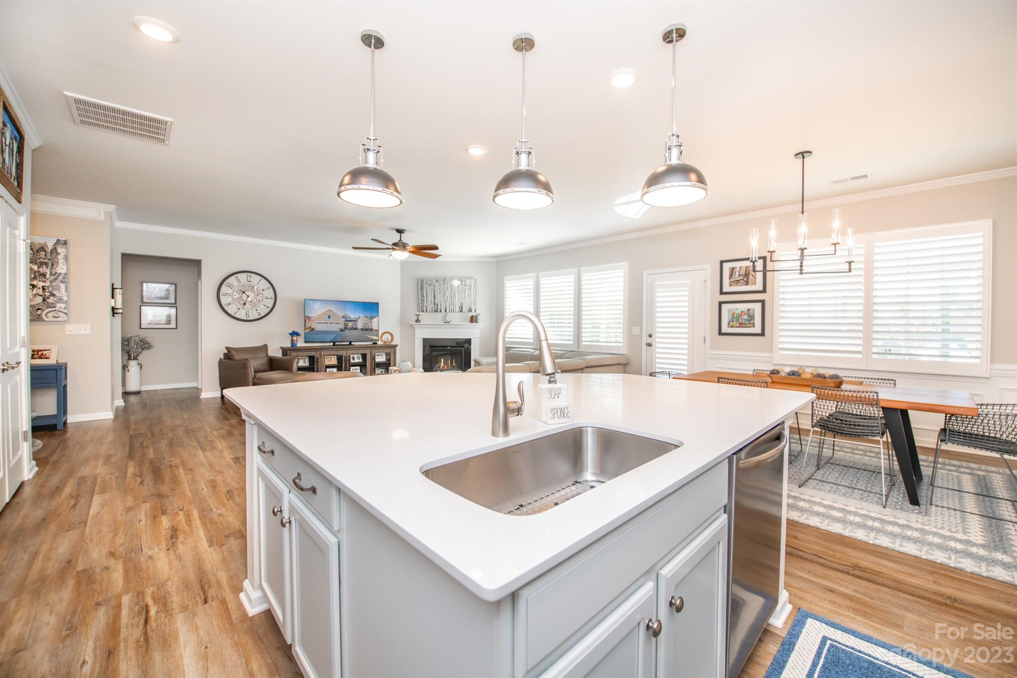 Imagery On Mtn Island - Residential