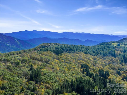 99999 EAGLE BALD TRAIL, BURNSVILLE, NC 28714 - Image 2d794ed73b69d2ce923f073f8e7faa36/1039416446