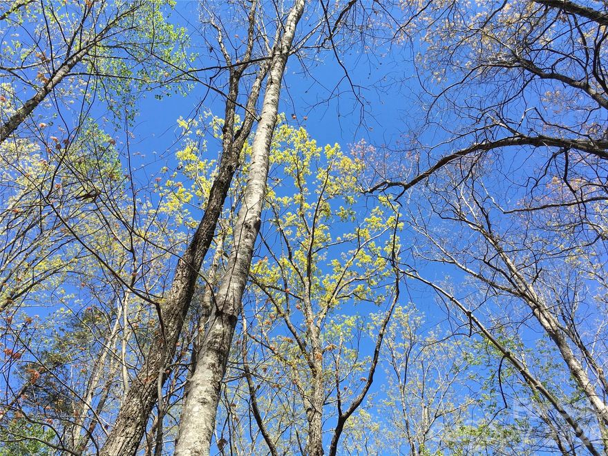 Easy drive right to this property. The road in is on a ridge line giving you the benefit of views. The 9.06 acre tract has a lot going for it. Some nice house sites that can give you privacy and views. 9.06 acres in Western North Carolina that has options. Weather you want to build a family compound or a single family residence this special tract of land can be someone's dream come true. There are two access points- 1 on the state maintained road ( this has 2 Appalachian signs that show you the road frontage.)  or the shared gated road already in place. Light restrictions NO HOA-This property is marked well so that you can see all corners-pink and yellow tape. there is a small ROW through a small portion of Lot 9 to get to lots 10 & 4 see under attachments. Seller had done a preliminary soil and site evaluation tests-available with a call to the list agent. This is an opportunity for that buyer who wants privacy, views and not a million miles away from civilization.