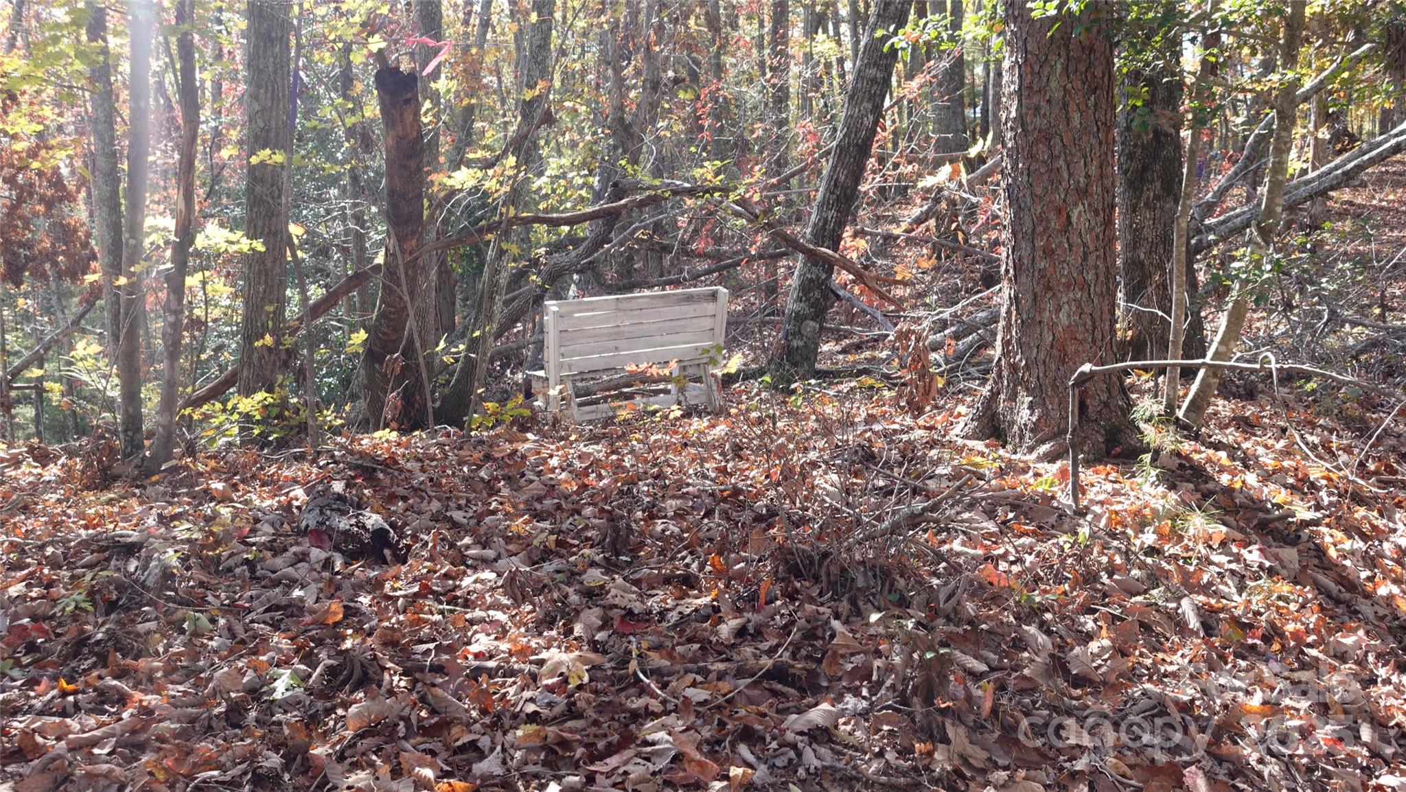 00 Lytle Mountain Road