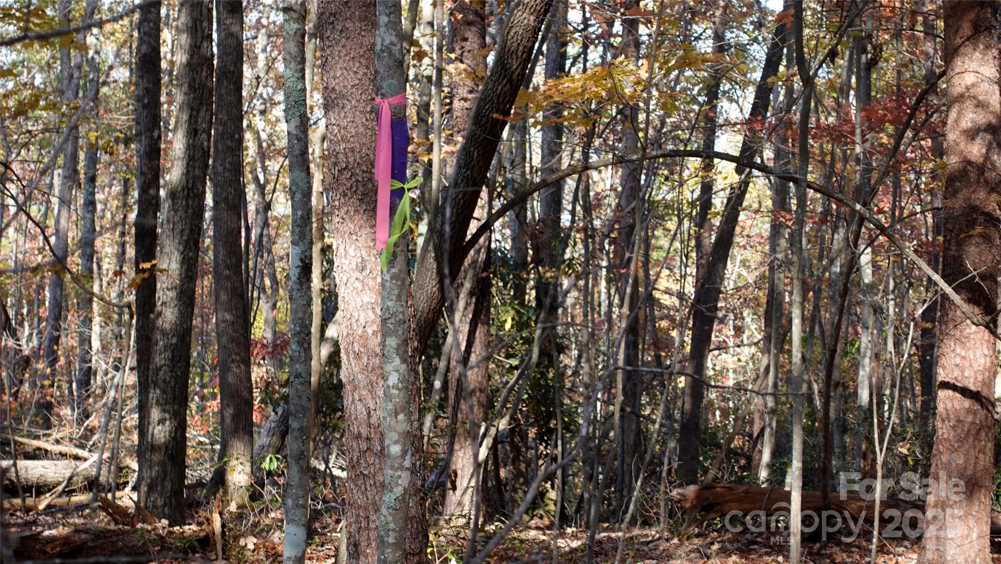 00 Lytle Mountain Road