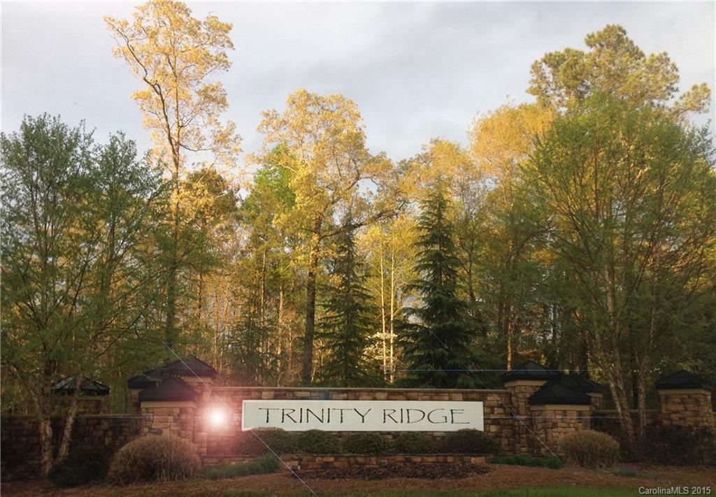 Trinity Ridge - Land