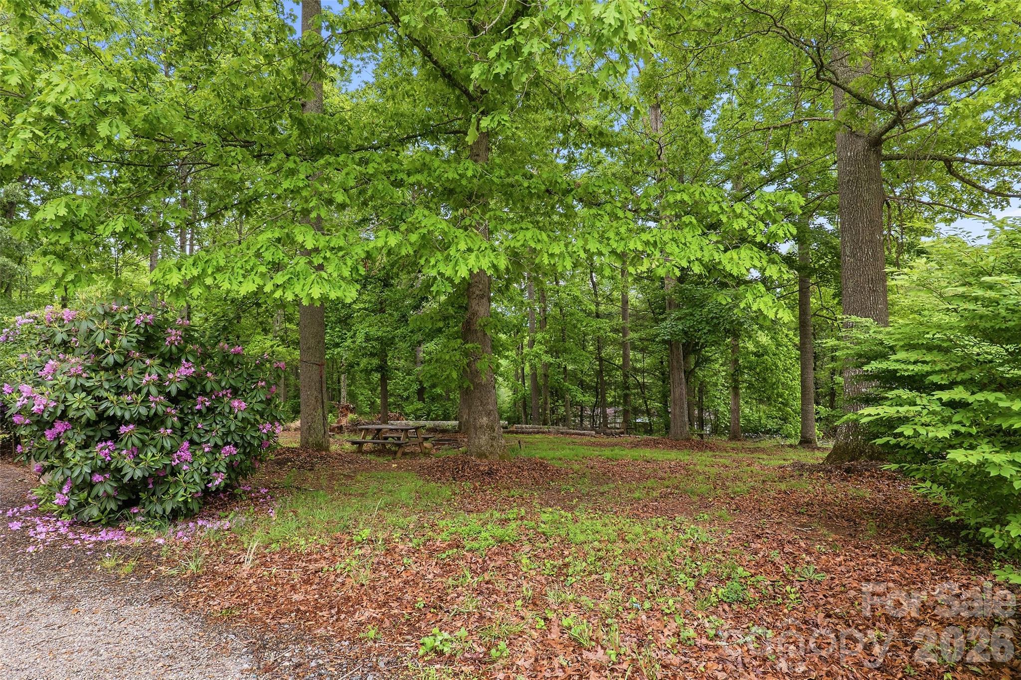 Turkey Creek Estates - Residential