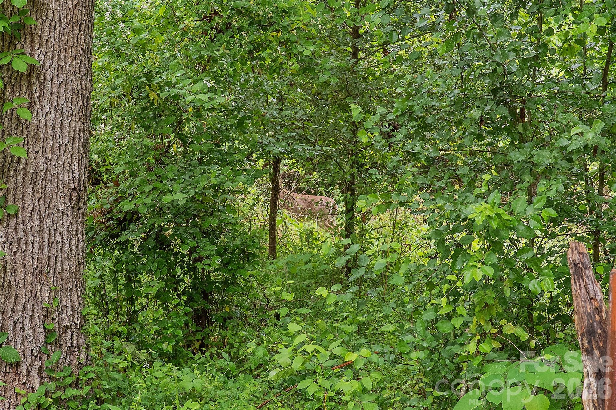 Turkey Creek Estates - Residential