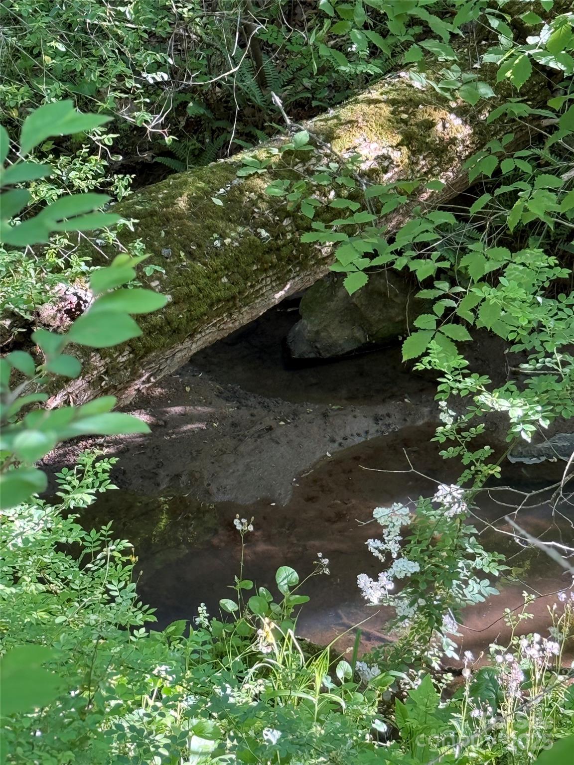 Firefly Ridge Estates - Residential