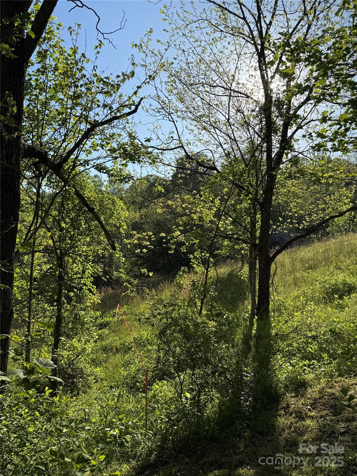 Firefly Ridge Estates - Residential