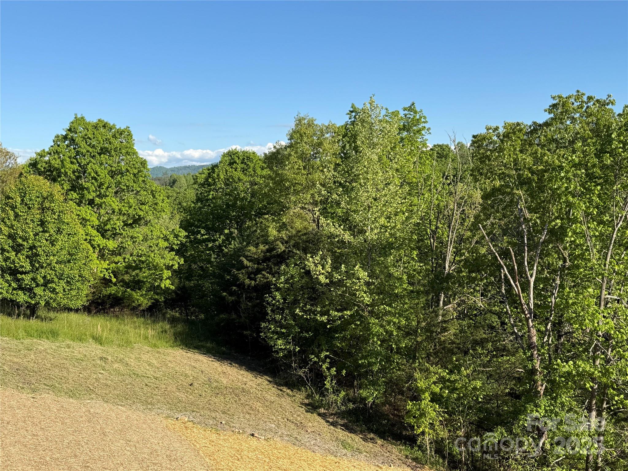 Firefly Ridge Estates - Residential