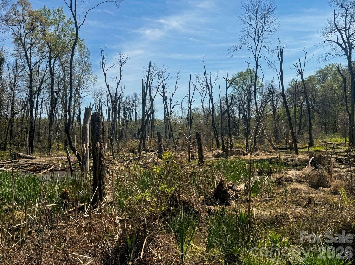 Barringer Woods - Residential