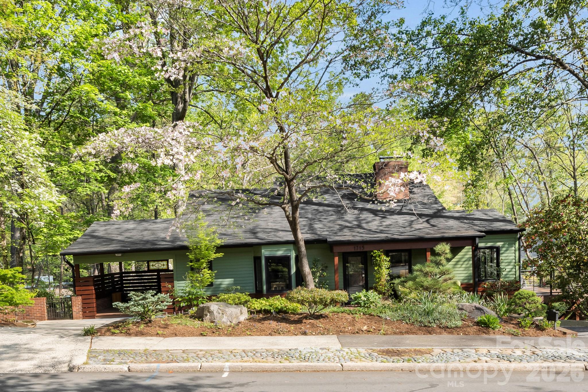 Buena Vista - Residential