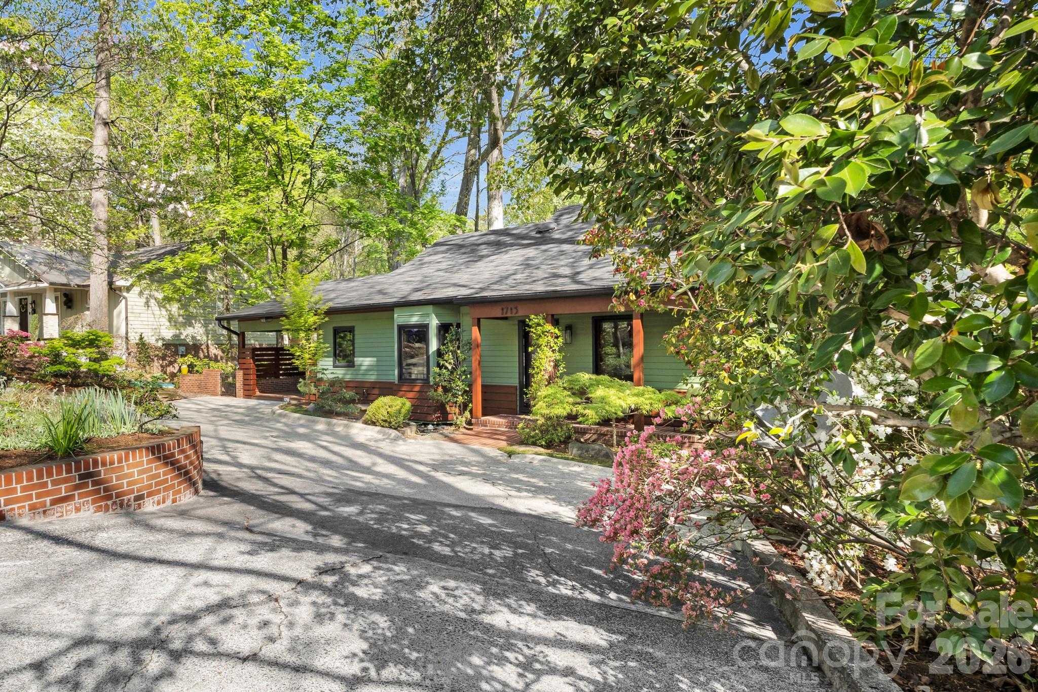 Buena Vista - Residential