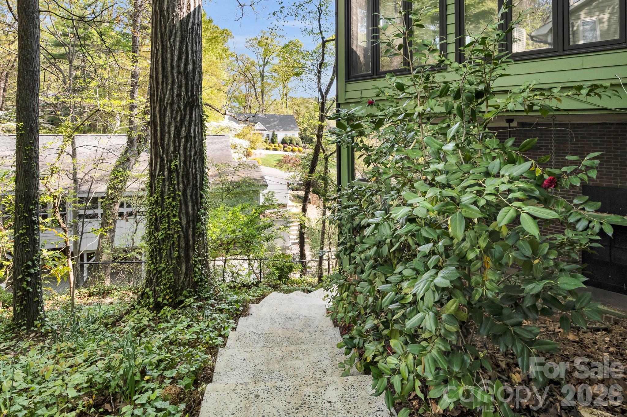 Buena Vista - Residential