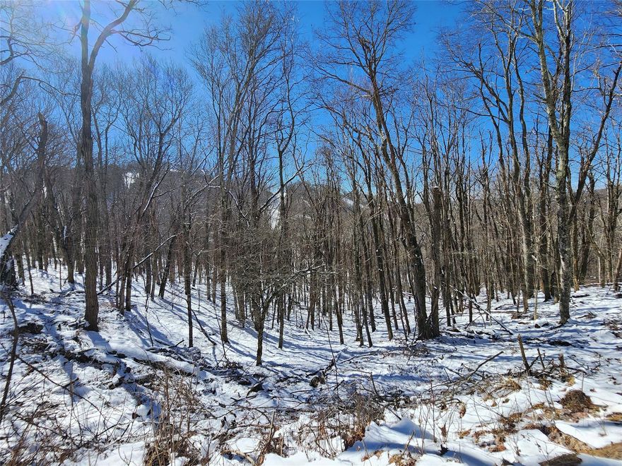 Amazing lot adjacent to Hatley Pointe Resort and slopes. Lot is built friendly with sloping topo and potential mountain views and slopes. Per seller inspector for septic system said soil is excellent for a building site. Walk to Hatley Pointe ski slopes /Mountain Bike Trails, summer and winter events and Smoke and Timber Restaurant and bar. Current septic permit, site plan, and survey attached to listing. Very special property for STR or for a second home to escape the summer heat. Property also offers high elevation for cool summers. Short drive to all other amenities the community has to offer. DON'T MISS THIS VERY SPECIAL PROPERTY AND VALUE FOR YOUR MONEY. 

Must have a real estate broker to get through security. All brokers must have current real estate pocket card to get through security.