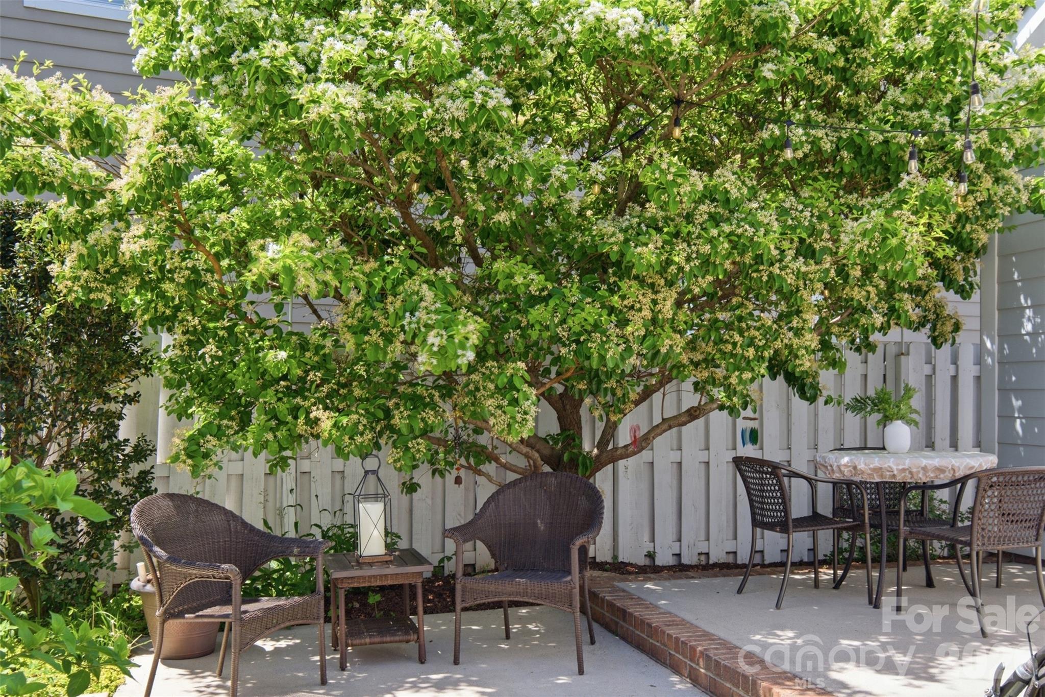 Antiquity - Residential