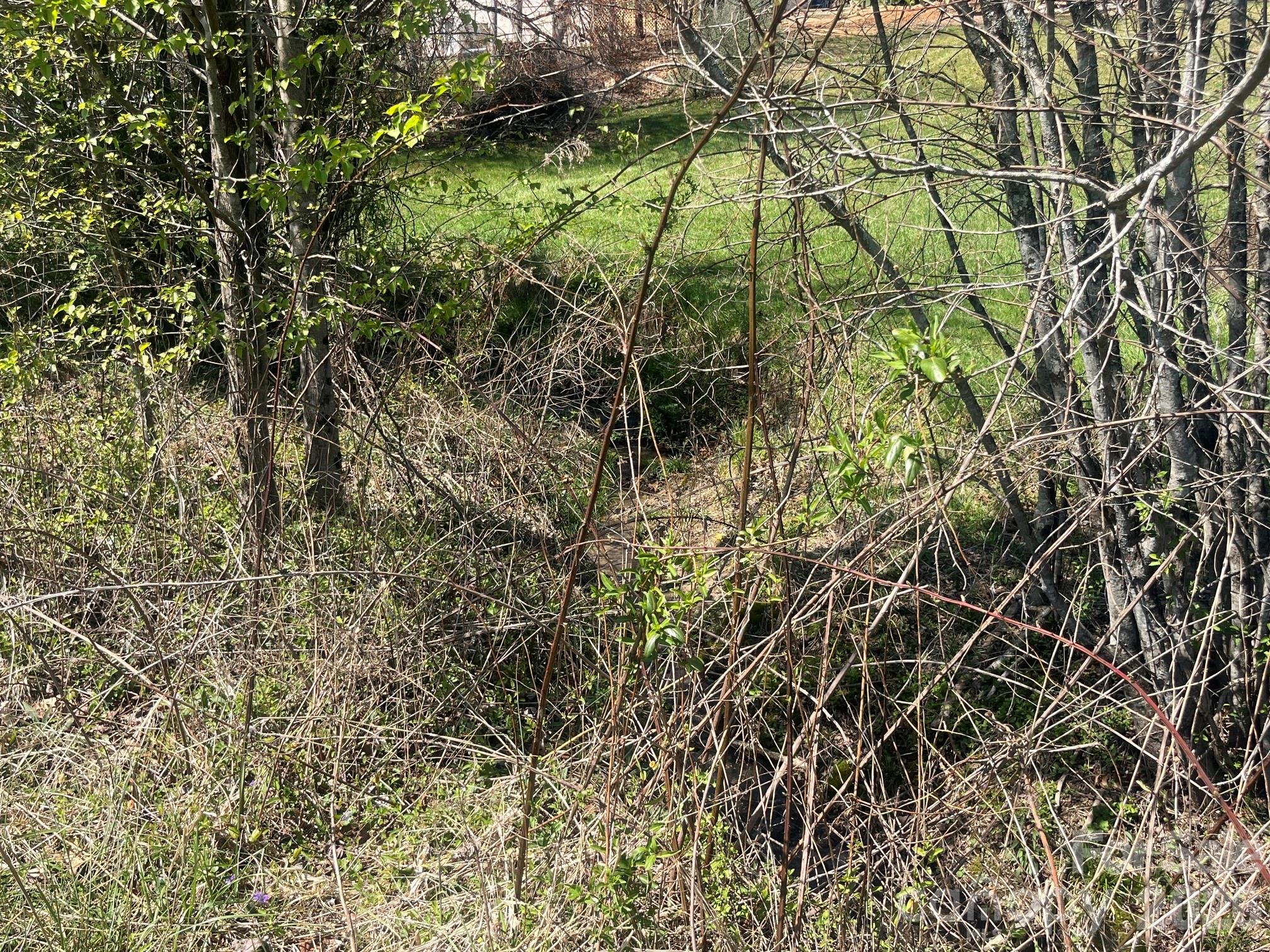 00 Chestnut Gap Road