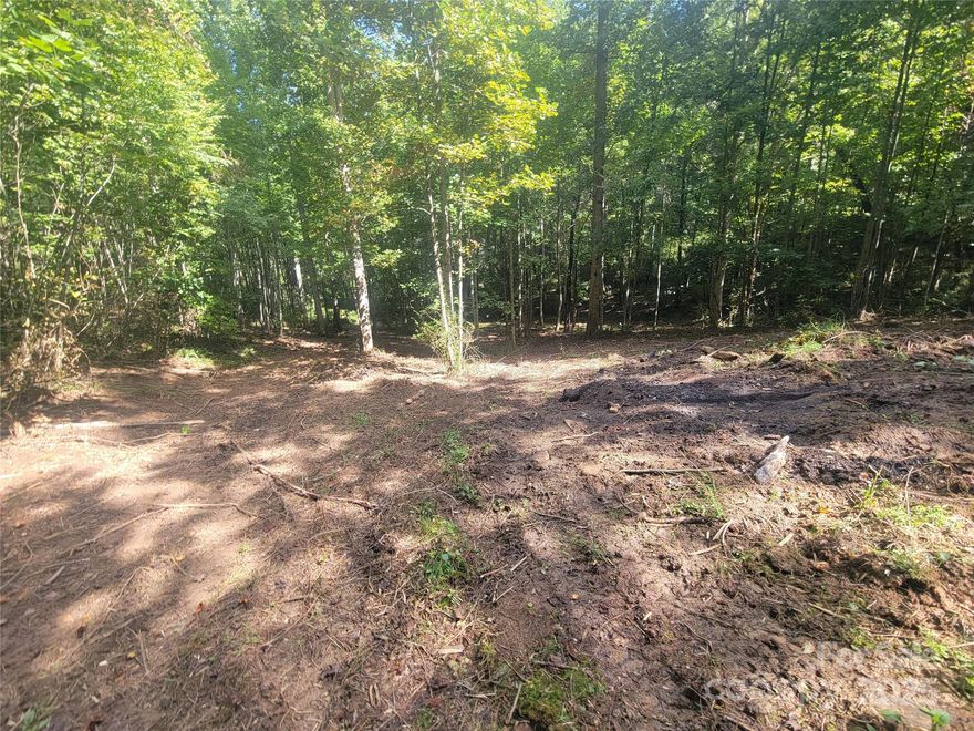 Beautiful 1.57 acre lot in the highly desirable Bradford Park subdivision. Located in the Crabtree area across from Riverbend Elementary School.  Paved roads to subdivision, easy access to I-40 and all of Haywood County's amenities. 1700 square feet minimum to build, modulars allowed, manufactured homes not allowed. Junaluska water available with a tap fee. Small spring on the property. There are some beautiful homes in this neighborhood that have been built by the same builder, which can be recommended.