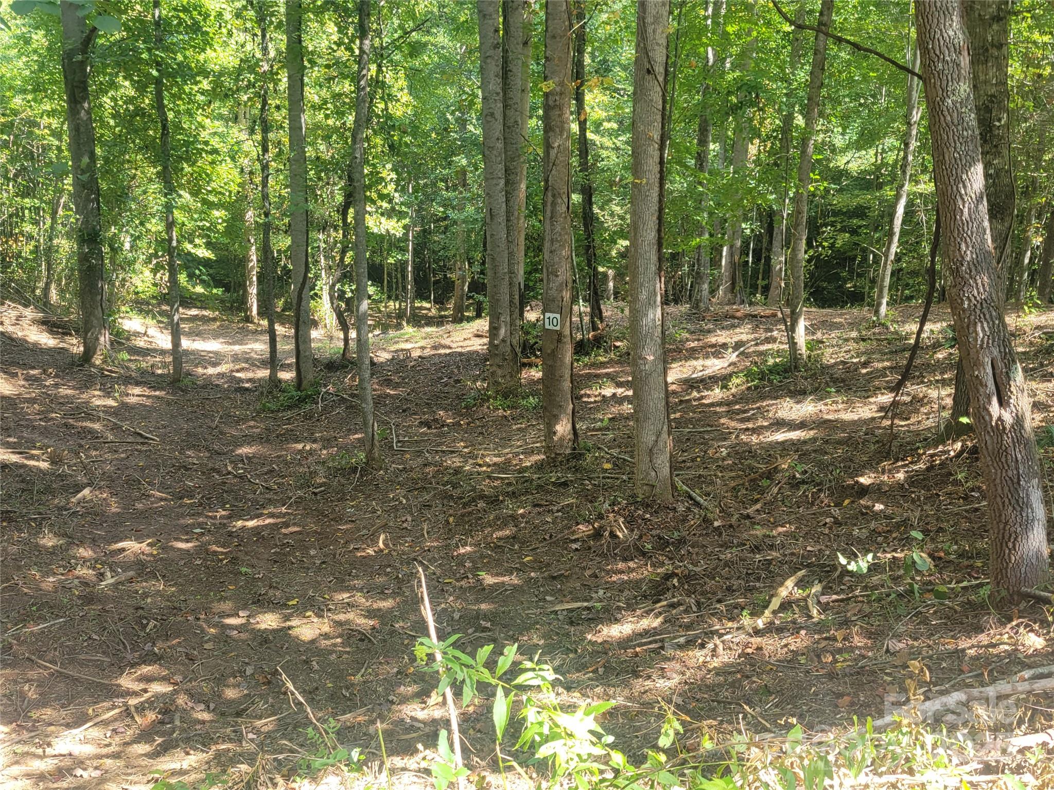 Bradford park - Land