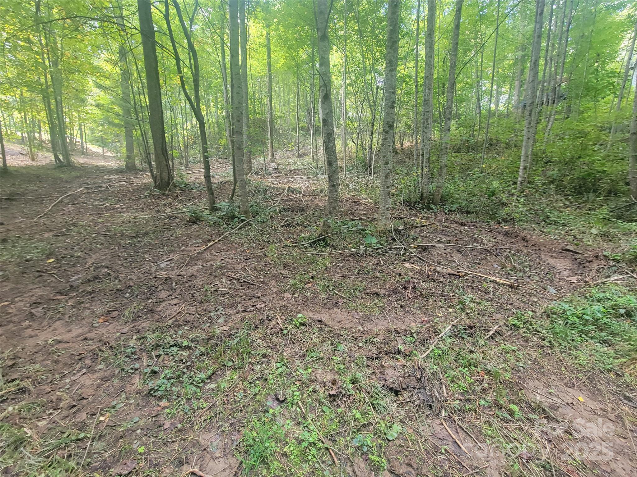 Bradford park - Land