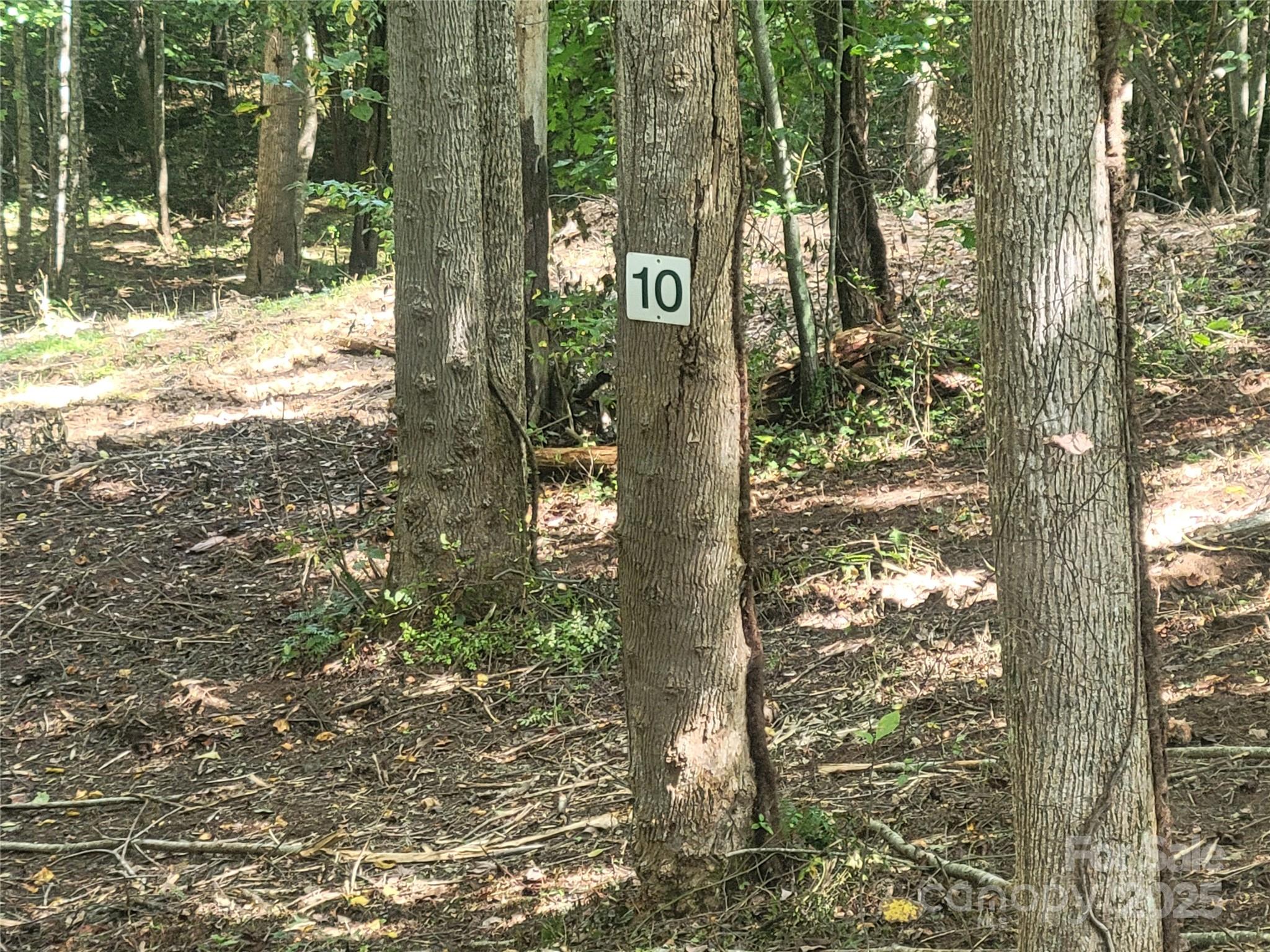 Bradford park - Land