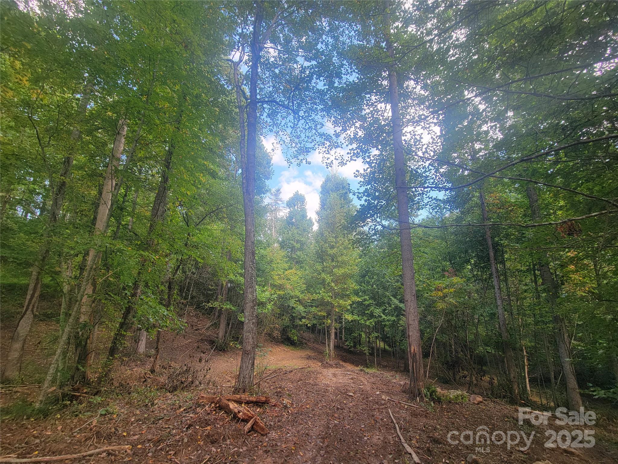 Bradford park - Land