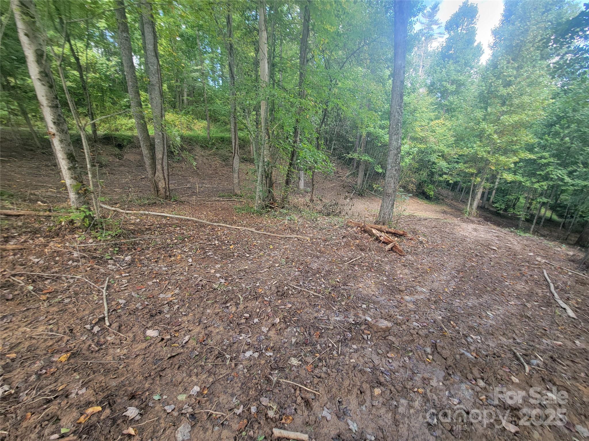 Bradford park - Land