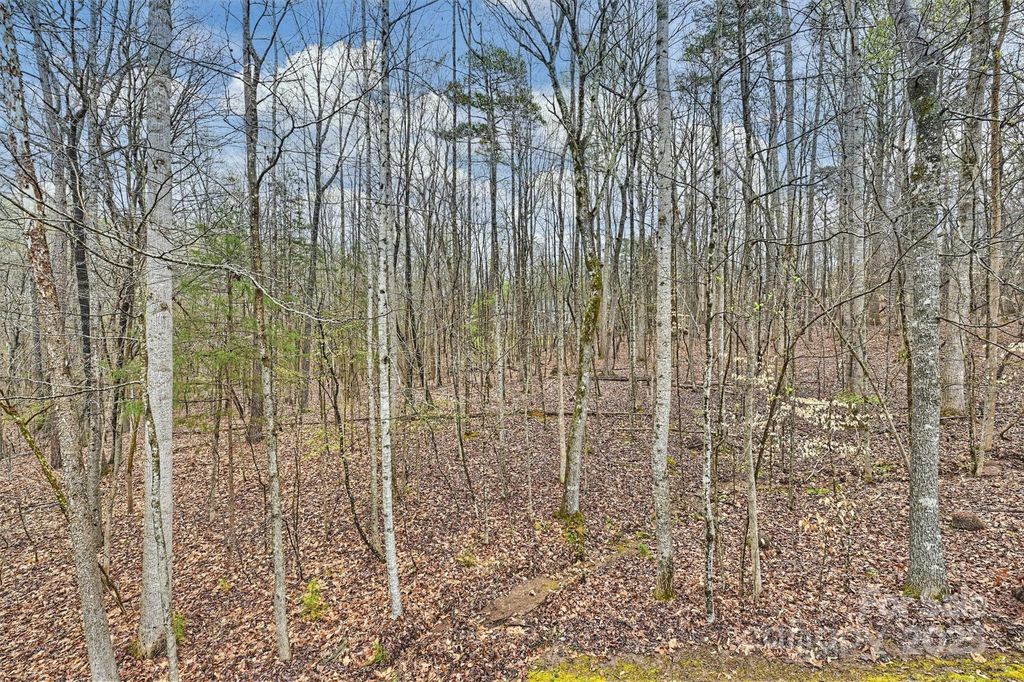 listing image 43