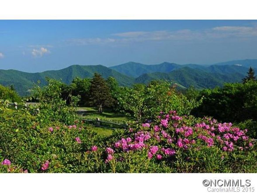 VERY UNIQUE OFFERING/ TOP RATED BEAR DEN CAMPGROUND Operated by the same family since the 1960's. Campground has 144 various sites /cabins on 55+~ acres with 20+~ acres for expansion, private estate(s) or conservation. Virtually surrounded by the Blue Ridge Parkway and the Pisgah National Forest = truly rare opportunity...qualified buyers only please.R593476A & V593477A