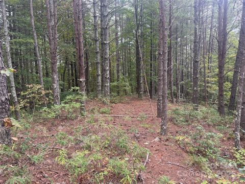 Photo of 9587 Shortoff View Terrace #57, Nebo, NC 28761 (MLS # 4311218)