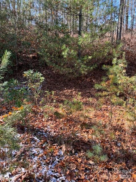 TBD Kitchen Loop Road