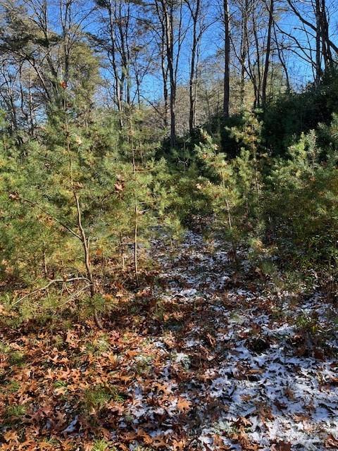 TBD Kitchen Loop Road