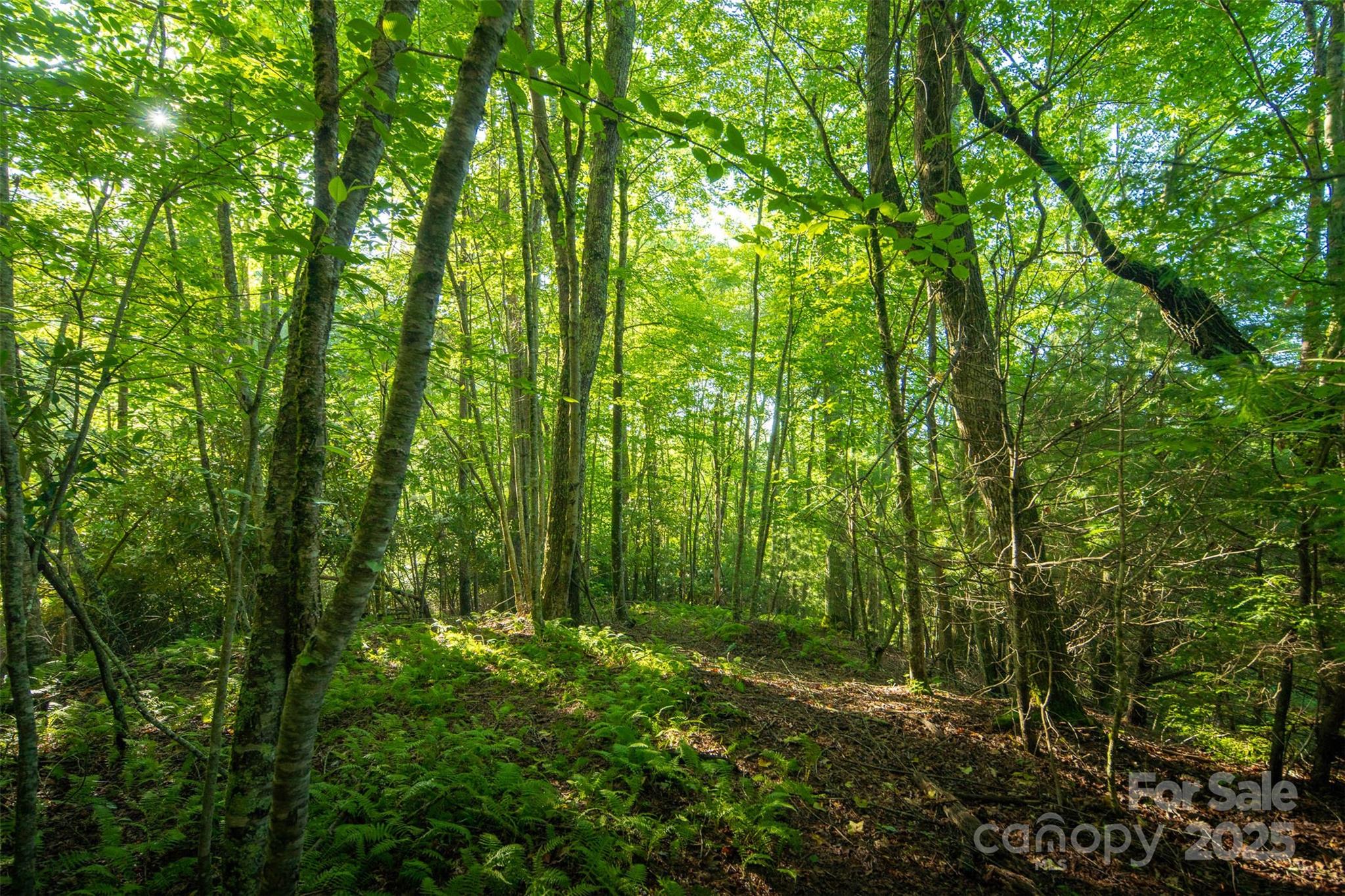 TBD Boulder Creek Drive 1