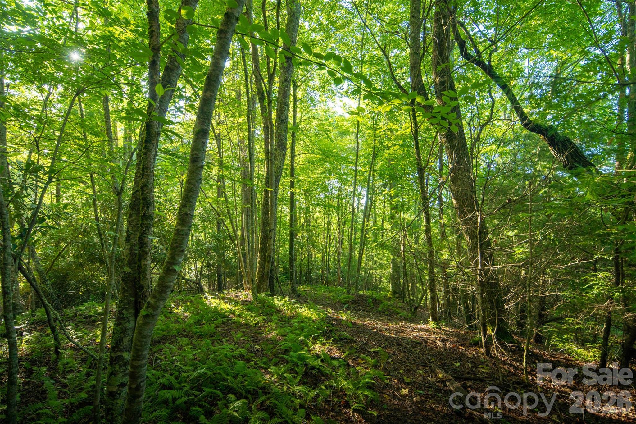 Boulder Creek - Residential