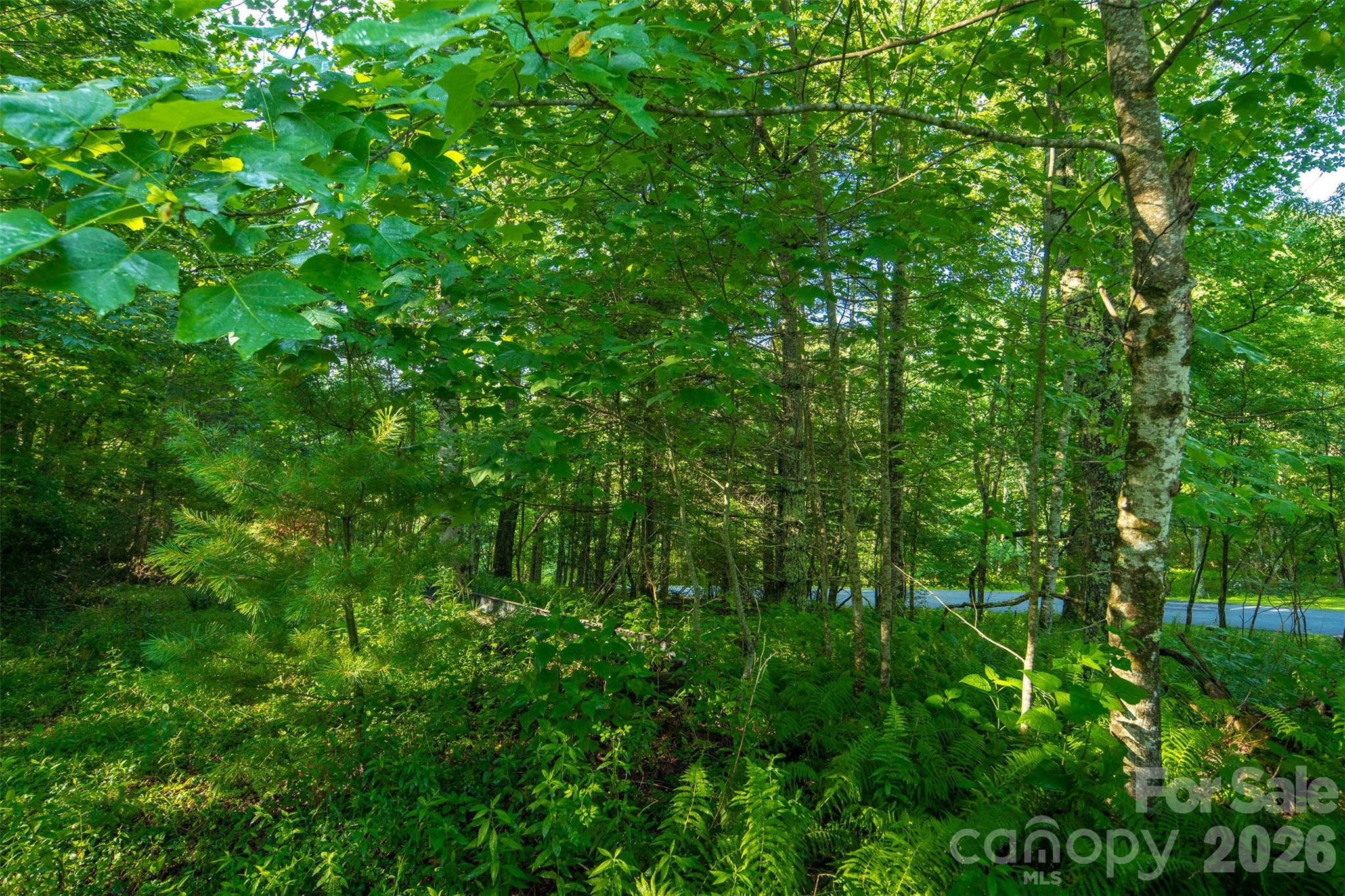 Boulder Creek - Residential