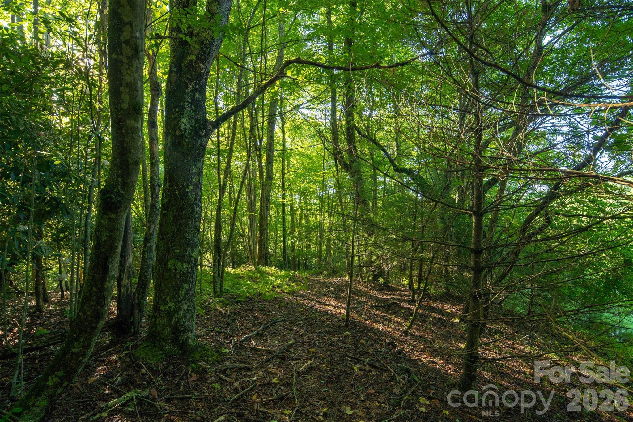 Boulder Creek - Residential