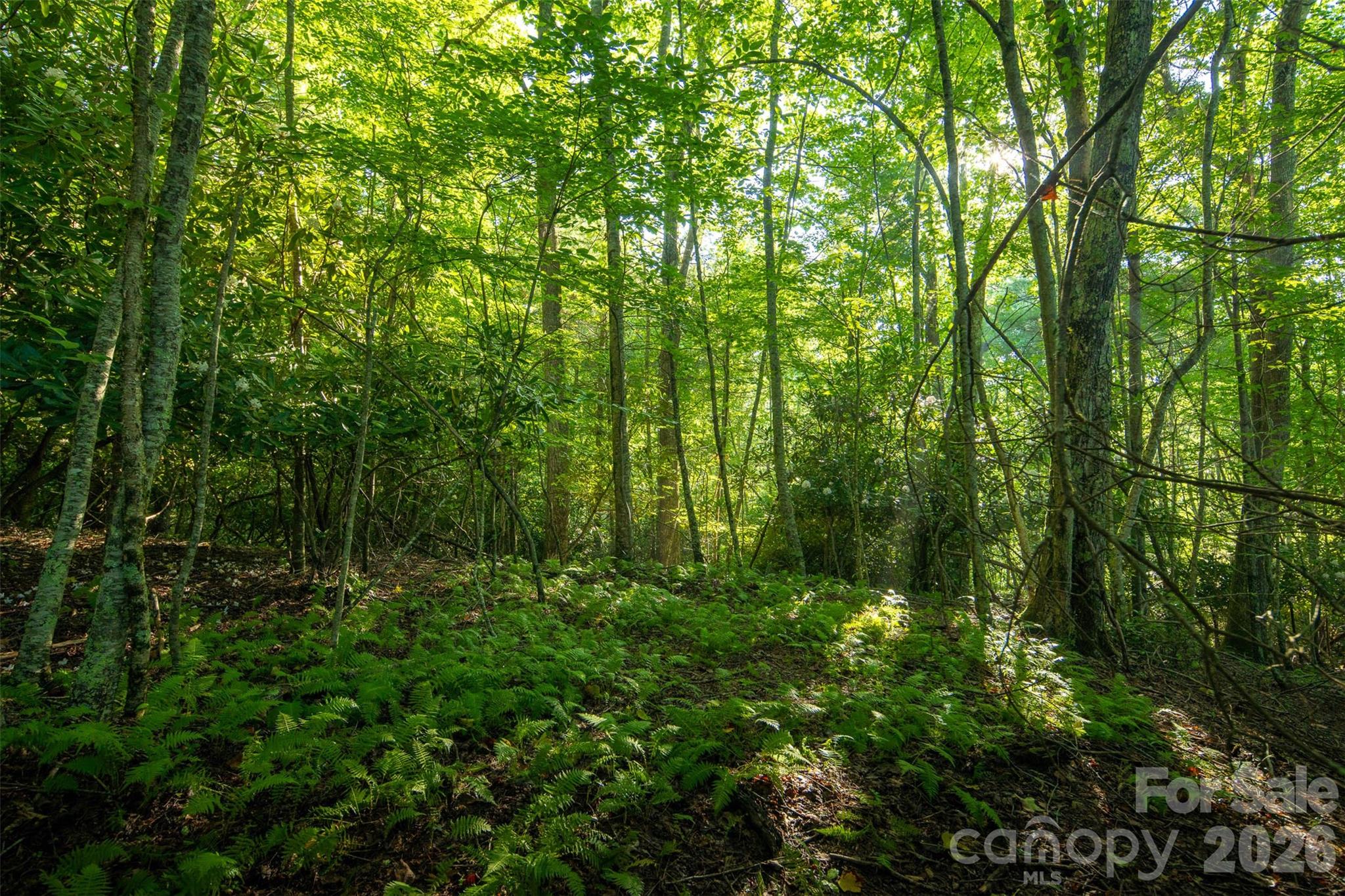 Boulder Creek - Residential