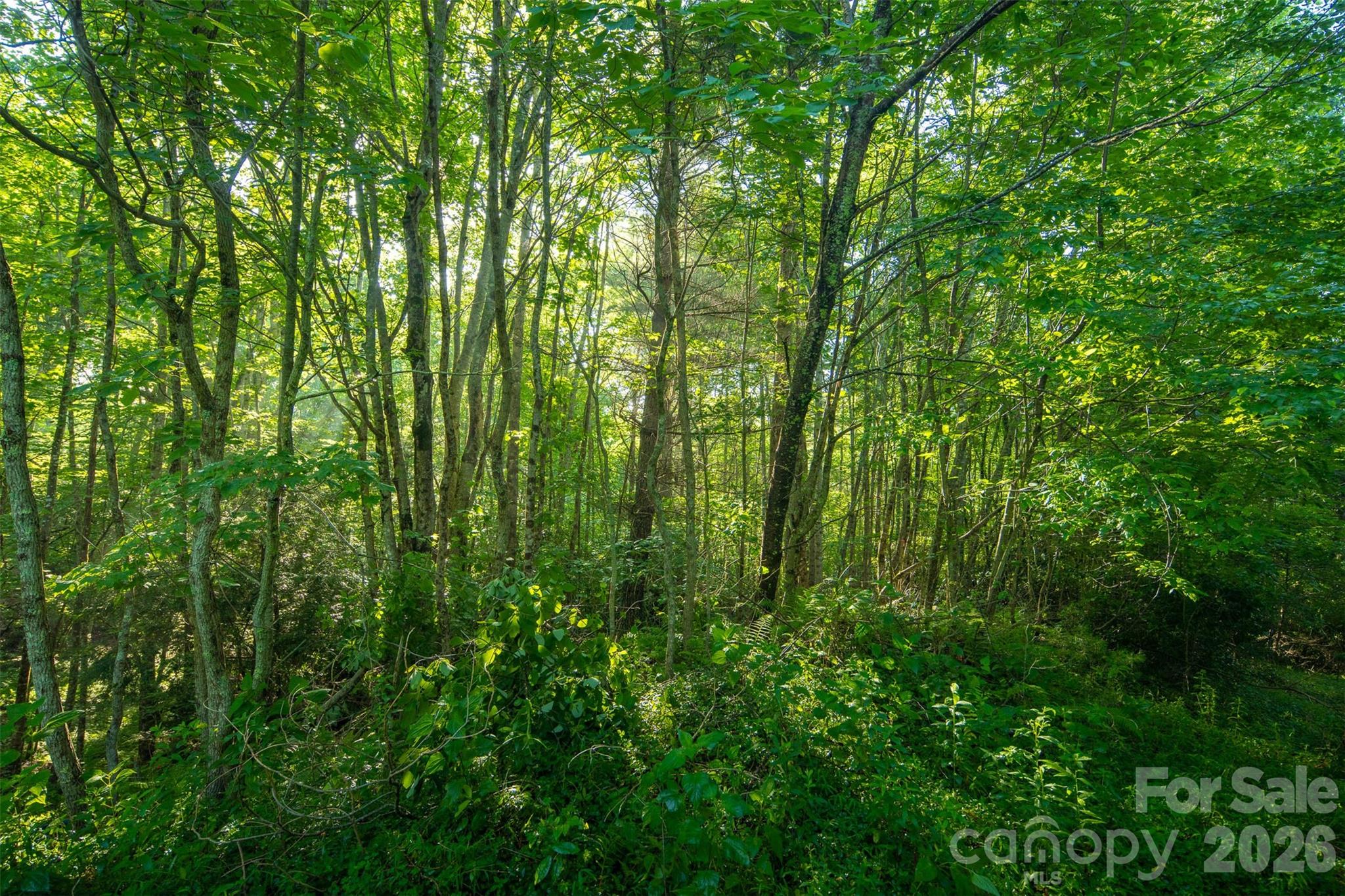 Boulder Creek - Residential