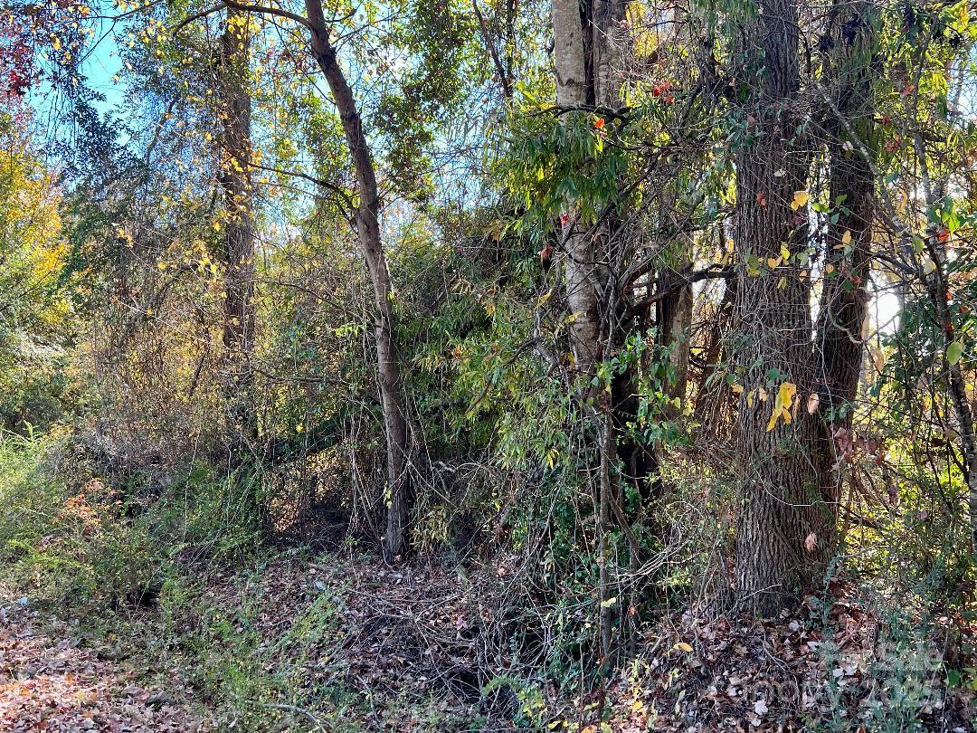 00 Old Camden Highway