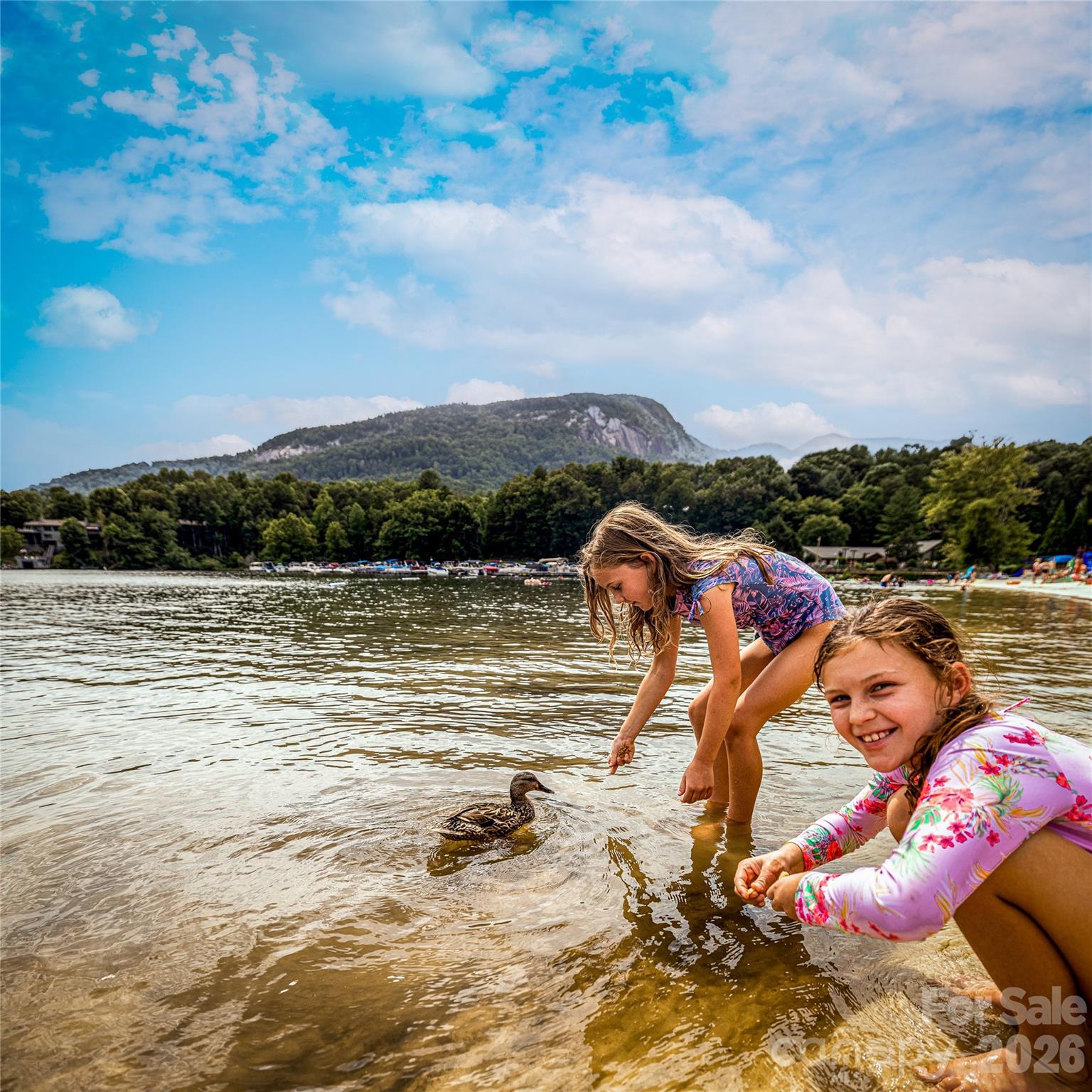 Rumbling Bald on Lake Lure - Land