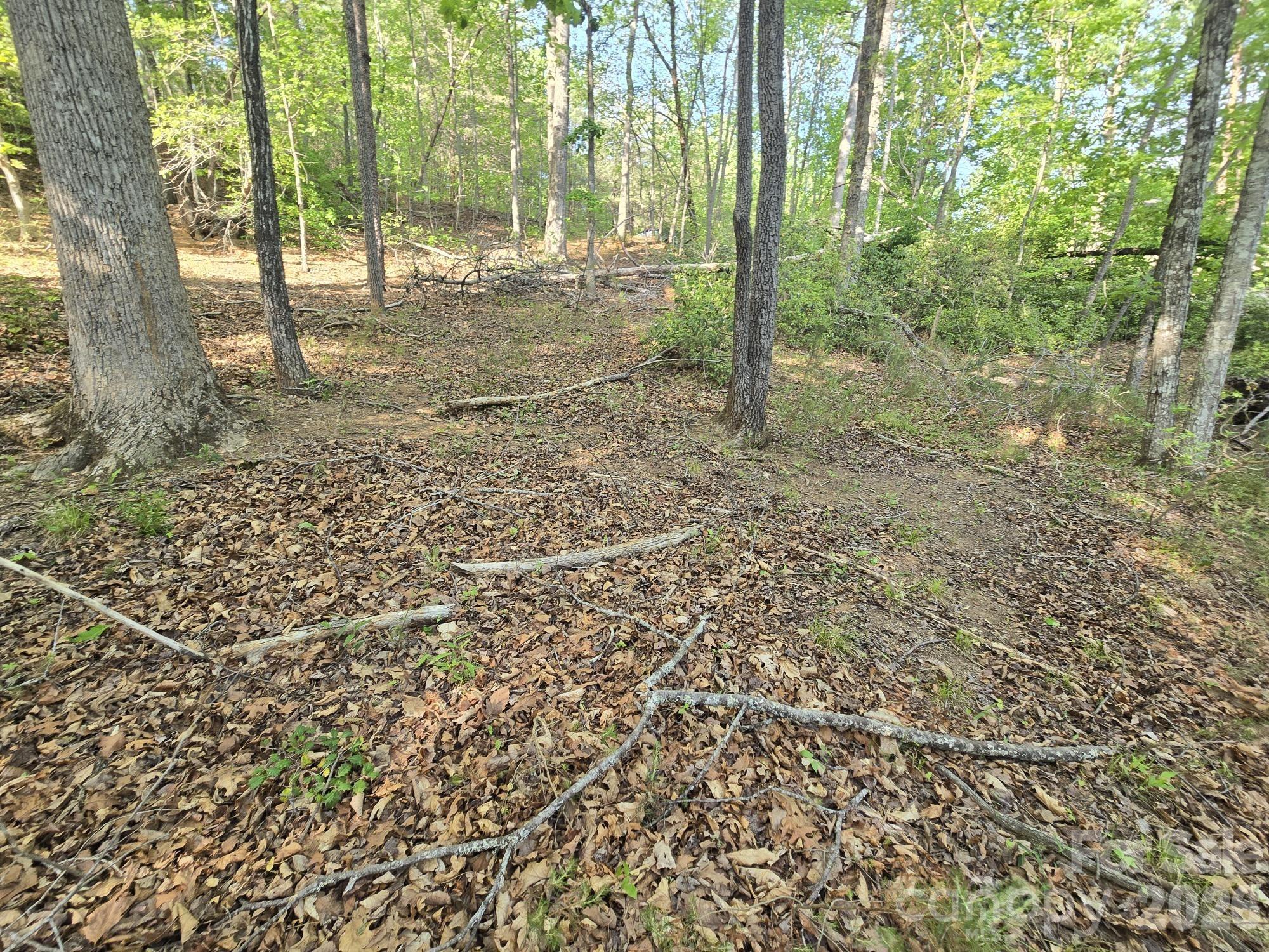Lot 88 Woodland Circle