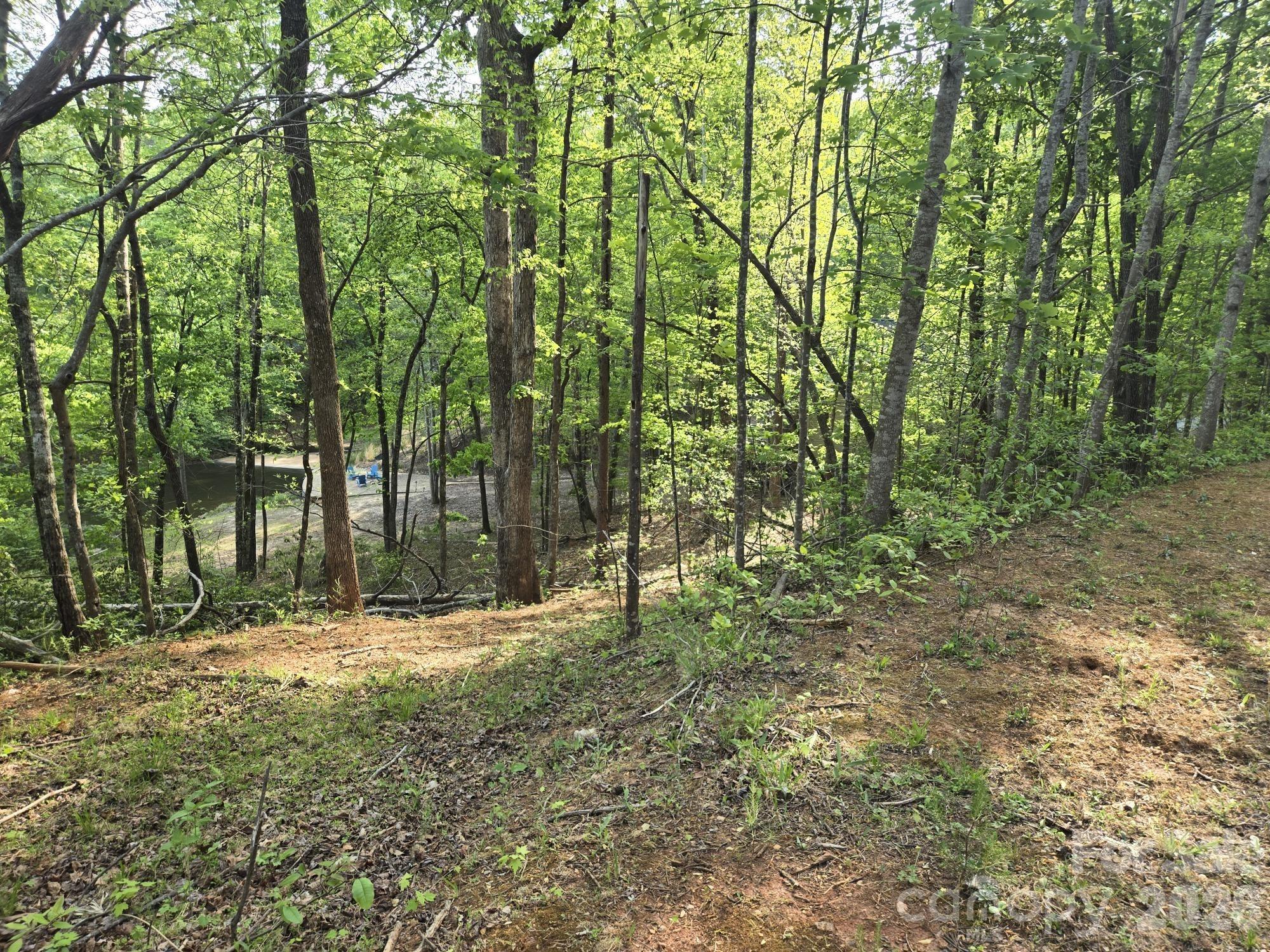 Rumbling Bald on Lake Lure - Land