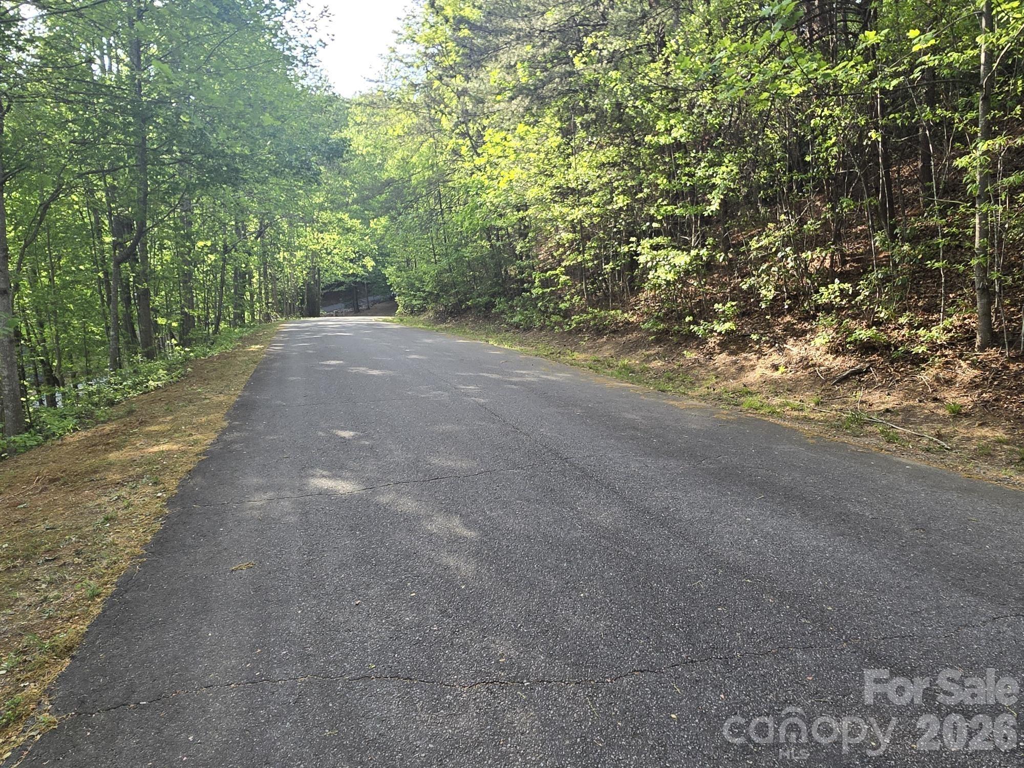 Rumbling Bald on Lake Lure - Land