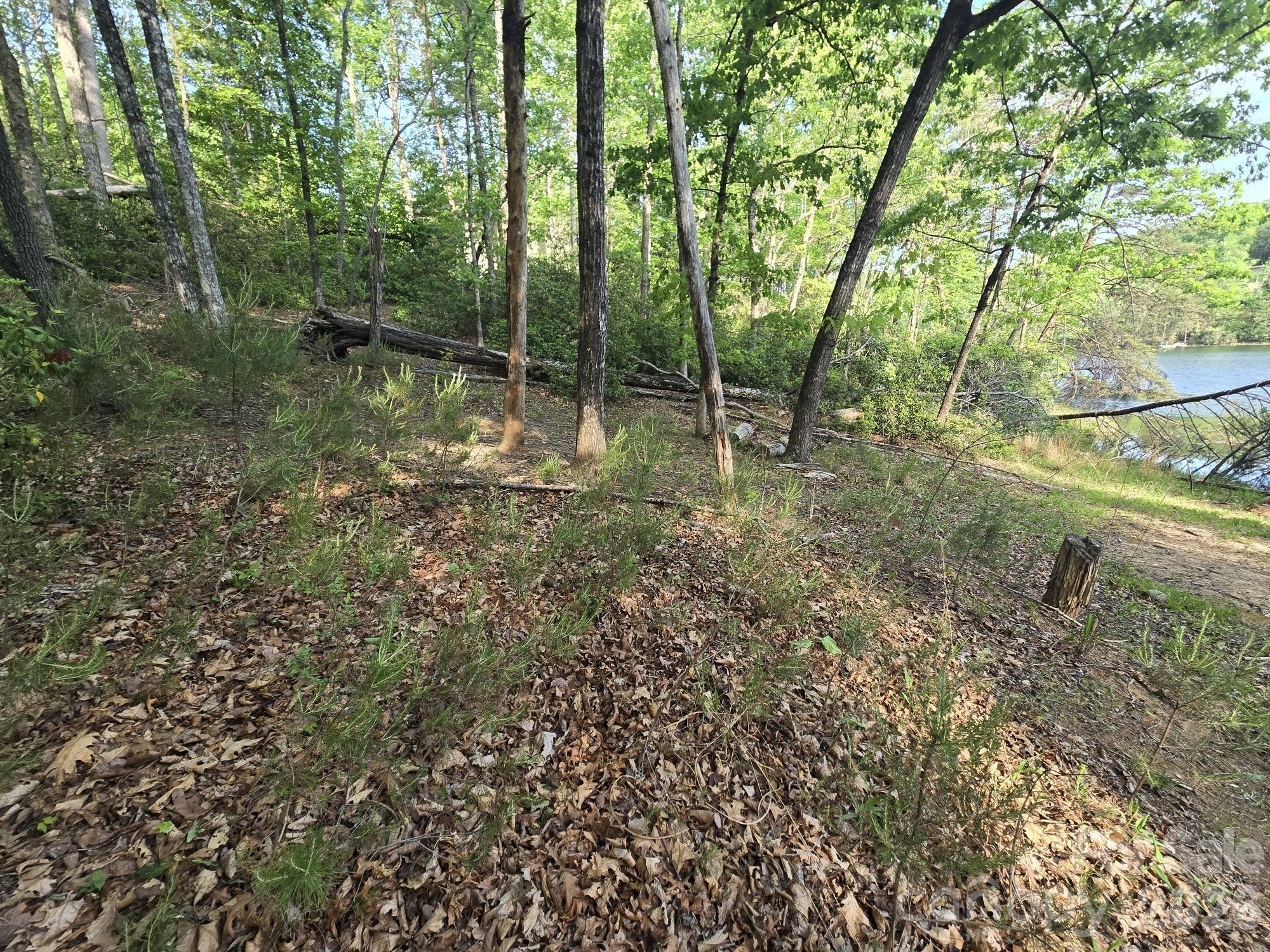 Lot 88 Woodland Circle
