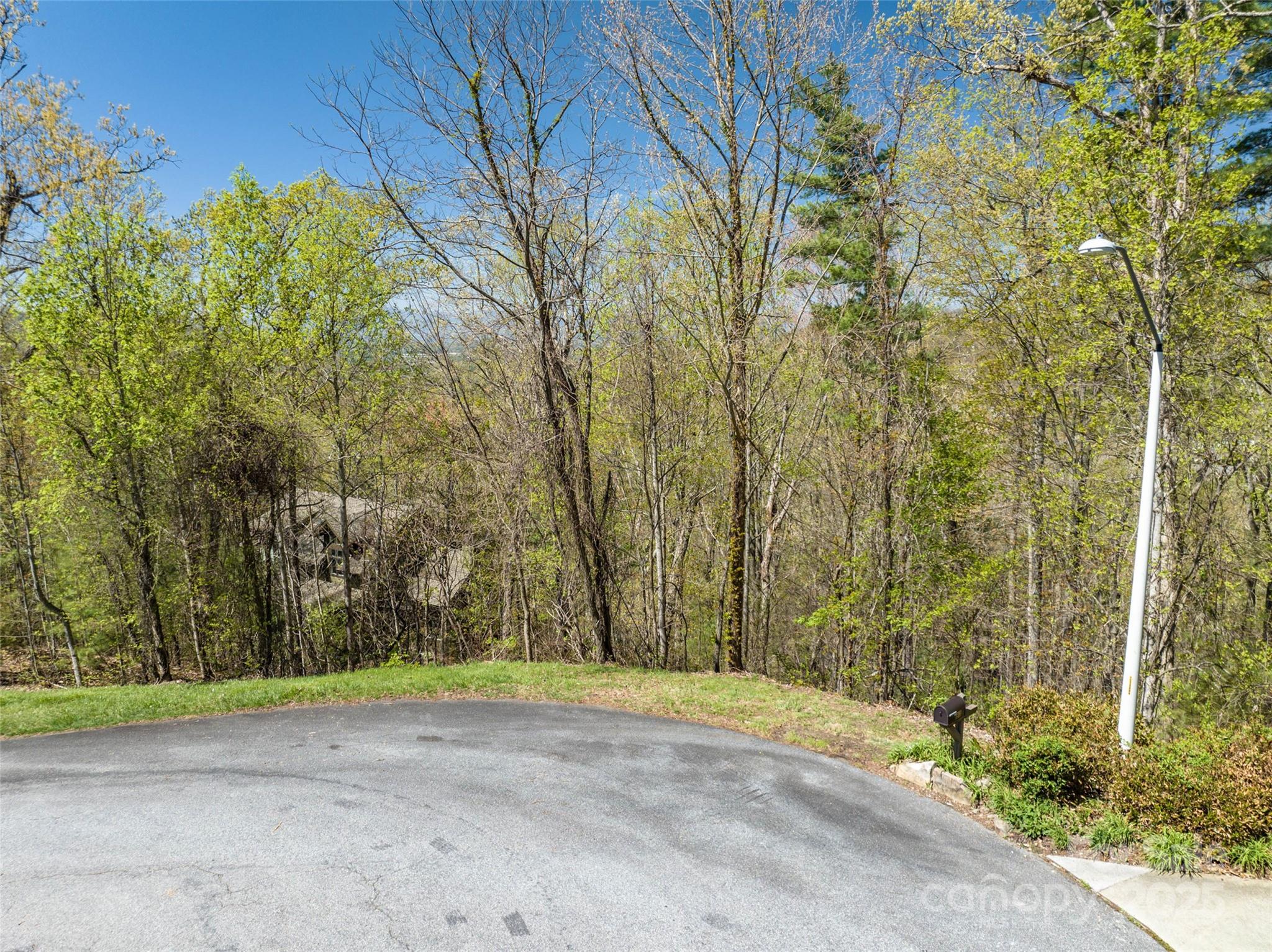 Reems Creek Golf Community - Land