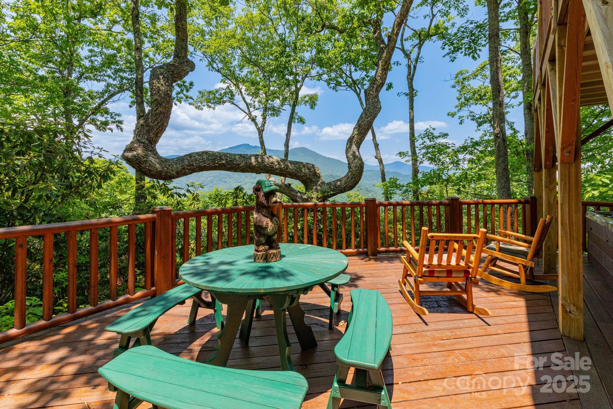 321 Tsalagi Trail